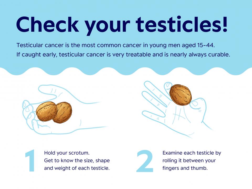 How to check your testicles | Irish Cancer Society